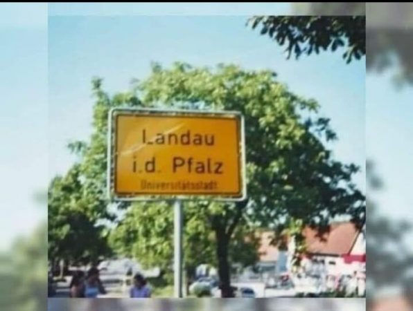Bild