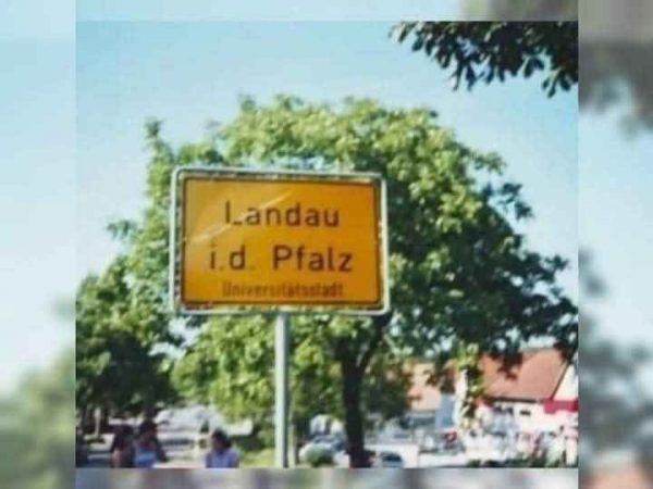 Bild